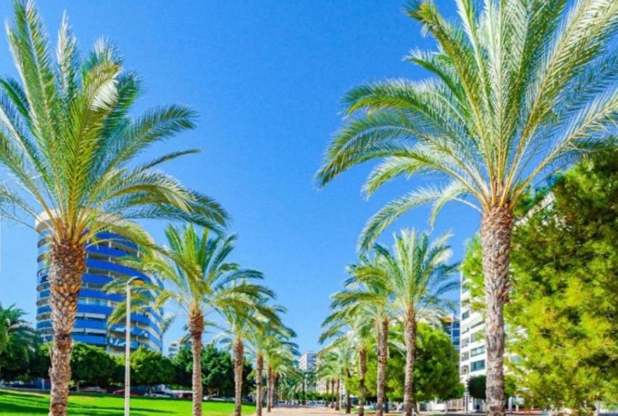 Benidorm beach Buena Vista Exterior foto